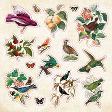Load image into Gallery viewer, The Sticker Book of Curiosities

