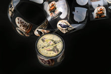 Load image into Gallery viewer, Specimen Display Domes Tapes: Transparent/PET tape
