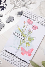 Load image into Gallery viewer, Sizzix® Framelits Die &amp; Stamp Set Painted Pencil Botanical by 49 and Market (666635)
