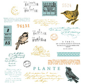 Load image into Gallery viewer, Sizzix A5 Clear Stamps 23PK w/5PK Framelits Die - Bird Song by 49 and Market (666704)
