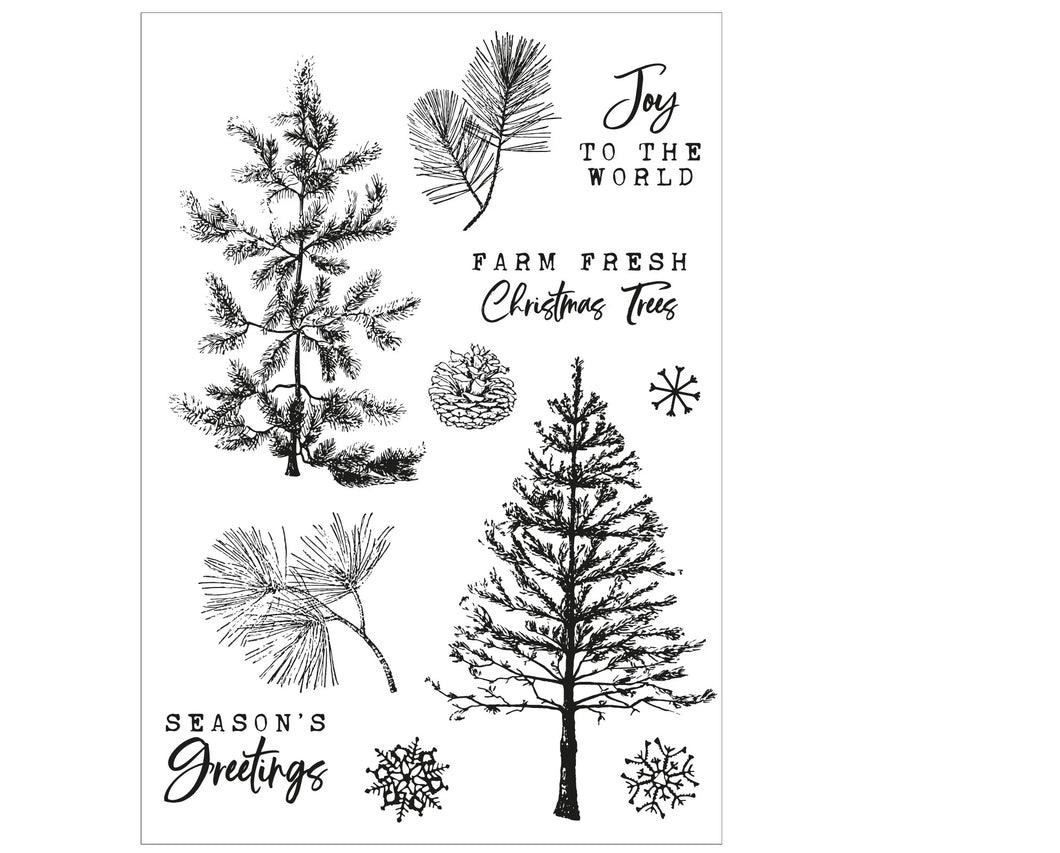 Sizzix A5 Clear Stamps 16PK w/5PK Framelits Die - Pine Holidays by 49 and Market (666711)