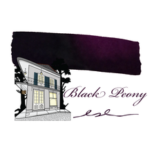 Load image into Gallery viewer, Papier Plum Classic Fountain Pen Inks 30ml: Black Peony
