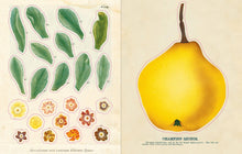 Load image into Gallery viewer, John Derian Sticker Book: Hardcover
