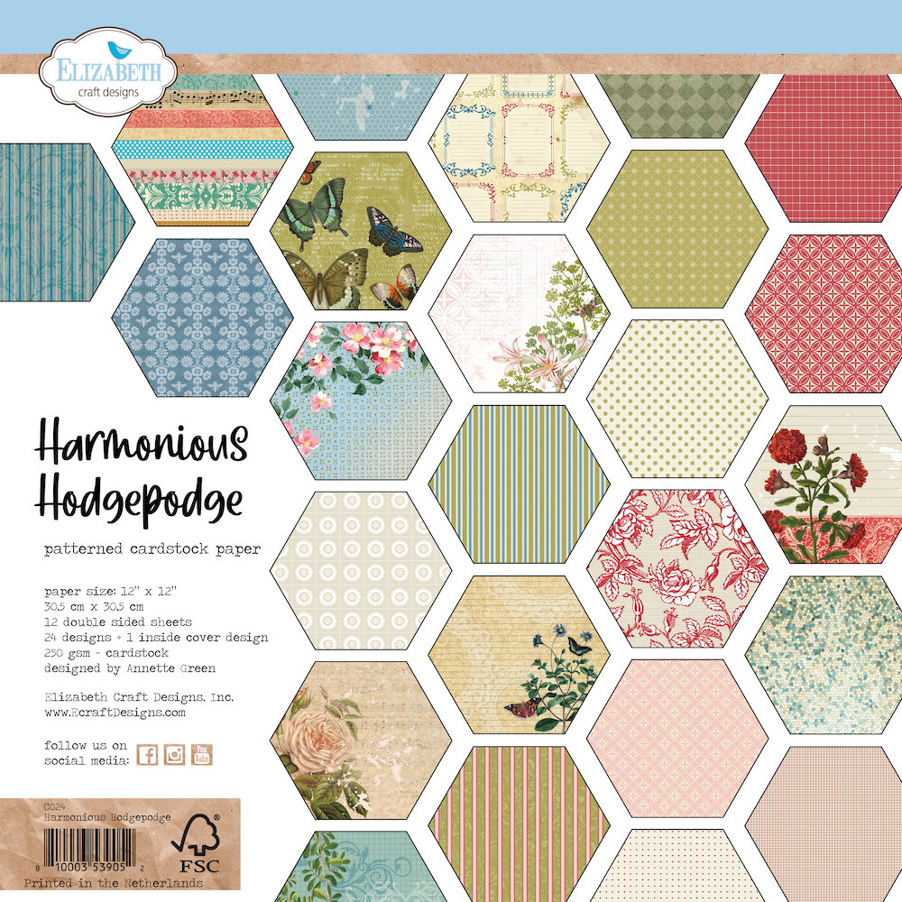 Elizabeth Craft Designs This Lovely Life Collection 12x12 Paper Pack Harmonious Hodgepodge (C024)