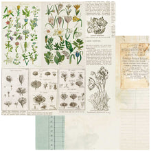 Load image into Gallery viewer, 49 and Market Curators Botanical Collection 12x12 Scrapbook Paper Anthology (CB-35717)
