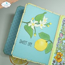 Load image into Gallery viewer, Elizabeth Craft Designs Sunny Days Collection Playful Sentiments Stamp  by Annette Green (CS403)
