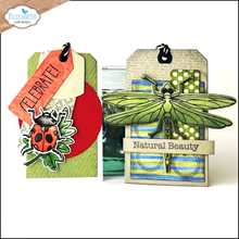 Load image into Gallery viewer, Elizabeth Craft Designs Sunny Days Collection Beetles &amp; Bugs Stamp and Die Set  by Annette Green (CSD402)
