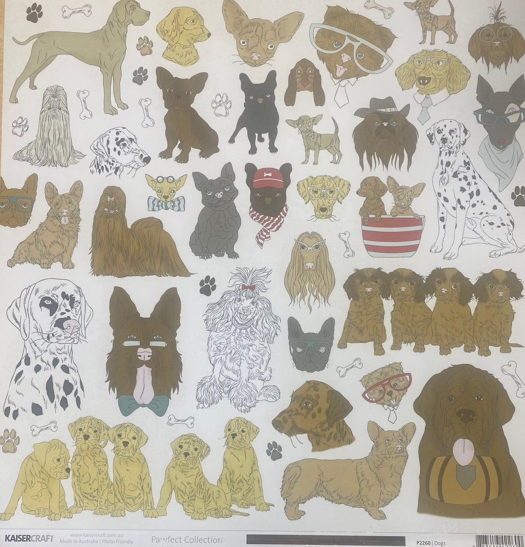 Kaisercraft Pawfect Collection 12x12 Scrapbook Paper Dogs (P2260)