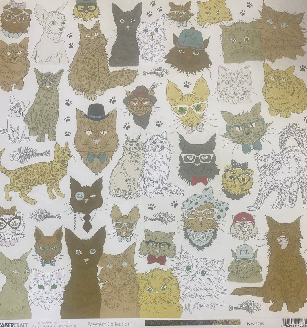 Kaisercraft Pawfect Collection 12x12 Scrapbook Paper Cats (P2259)