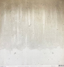 Load image into Gallery viewer, Kaisercraft Sage &amp; Grace Collection 12x12 Scrapbook Paper Render (P2312)
