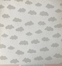 Load image into Gallery viewer, Kaisercraft Daydreamer Collection 12x12 Scrapbook Paper Curious (P2341)
