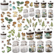 Load image into Gallery viewer, 49 and Market Vintage Artistry Nature Study Specimen Acetate Shapes (NS-23220)
