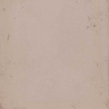 Load image into Gallery viewer, 49 and Market Vintage Artistry Nature Study Collection 12x12 Ledger Paper 1 (NS-41619)
