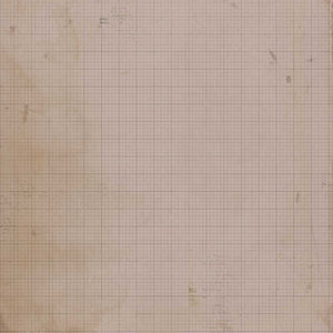 49 and Market Vintage Artistry Nature Study Collection 12x12 Ledger Paper 3 (NS-41633)