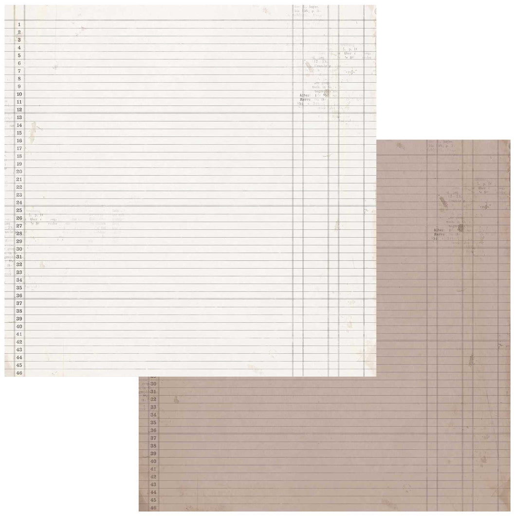 49 and Market Vintage Artistry Nature Study Collection 12x12 Ledger Paper 4 (NS-41640)