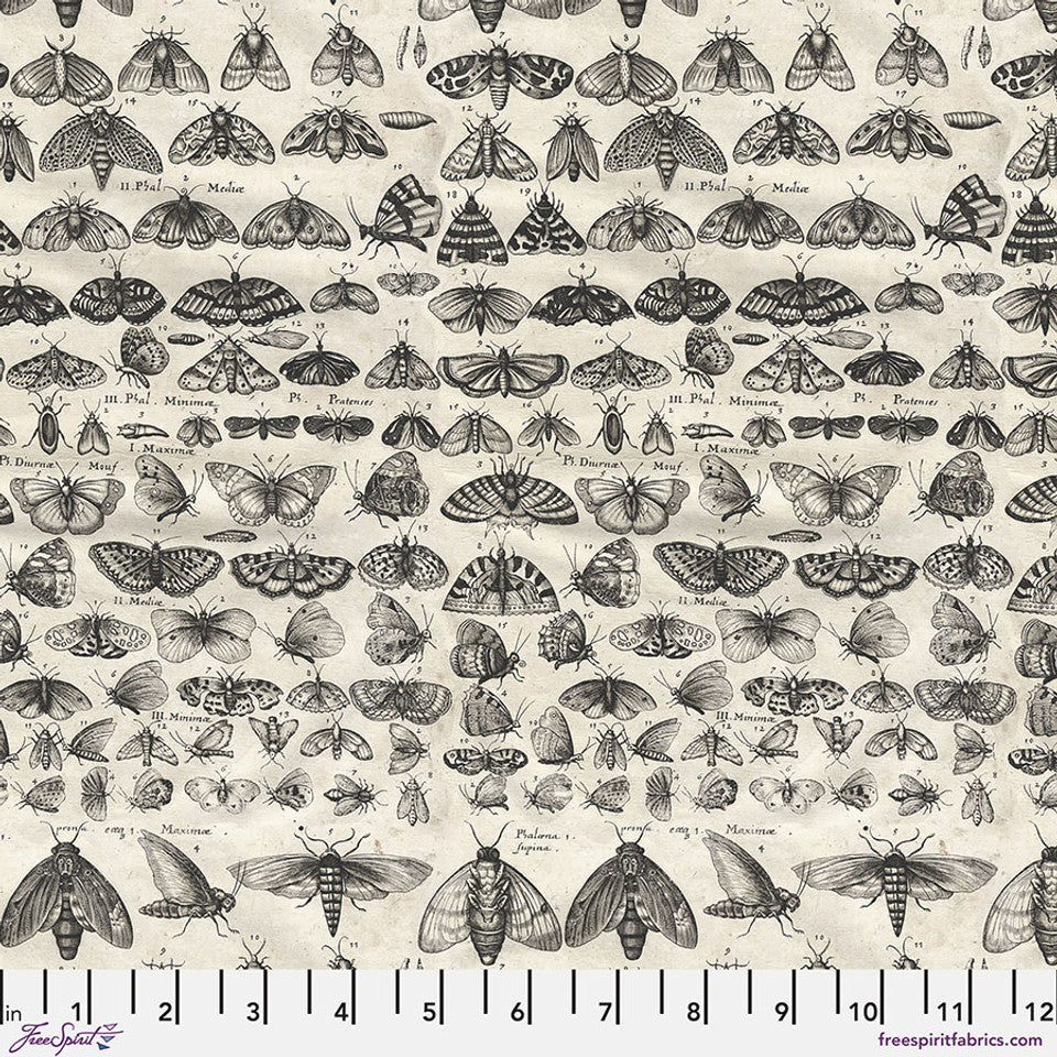 Tim Holtz Freespirit Fabric Charcoal Moths (PWTH315.CHARCOAL)