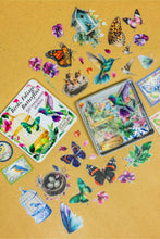 Load image into Gallery viewer, Birds, Foliage, Butterflies Sticker Tin Box
