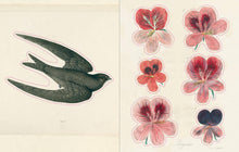 Load image into Gallery viewer, John Derian Sticker Book: Hardcover
