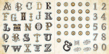Load image into Gallery viewer, Loads of Ephemera! Sticker Book
