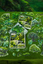 Load image into Gallery viewer, Mossy Elements Sticker Tin Box
