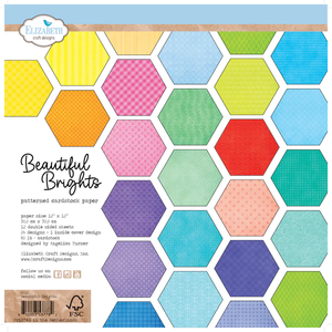 Elizabeth Craft Designs 12x12 Paper Pack Beautiful Brights (C015