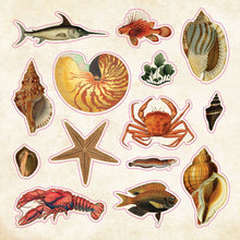Load image into Gallery viewer, The Sticker Book of Curiosities

