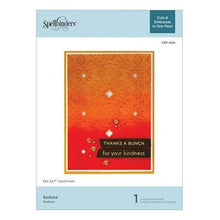Load image into Gallery viewer, Spellbinders Paper Arts Embossing Folder Sedona (CEF-026)
