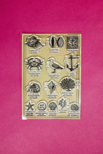 Load image into Gallery viewer, Summer Clear Stamps
