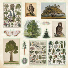 Load image into Gallery viewer, Enchanted Forest Sticker Book
