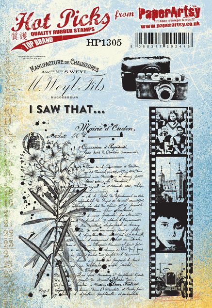 PaperArtsy Stamp Set I Saw That (HP1305)