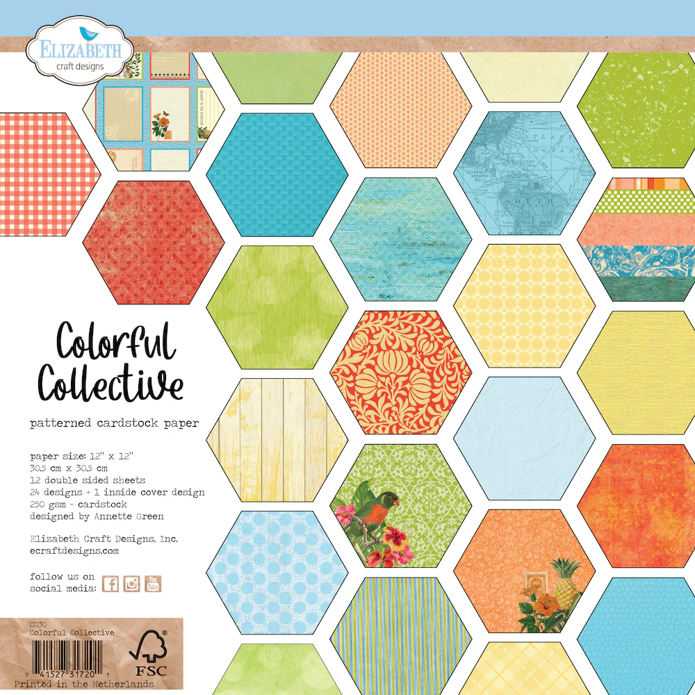 Elizabeth Craft Designs Colorful Collective 12x12 paper by Annette Green (C030)