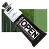 GOLDEN OPEN Sap Green Hue Series 4 - 5 Fl Oz