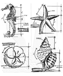 Stampers Anonymous Tim Holtz Collection Nautical Blueprint Stamp Set (CMS194)