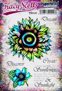 PaperArtsy Rubber Stamp Set  designed by Tracy Scott (TS030)