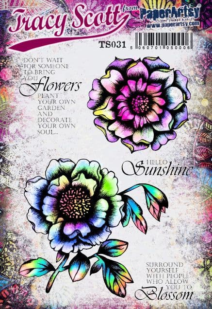PaperArtsy Rubber Stamp Set  designed by Tracy Scott (TS031)