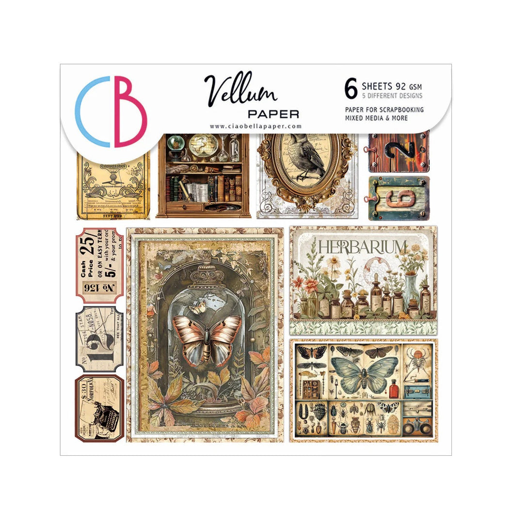 Ciao Bella Cabinet of Curiosities Vellum Paper (CBVQ024)