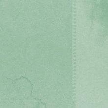 Load image into Gallery viewer, Simple Stories Country Christmas Collection 12x12 Scrapbook Paper Sage/Dots (11335)
