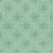 Load image into Gallery viewer, Simple Stories Country Christmas Collection 12x12 Scrapbook Paper Sage/Dots (11335)
