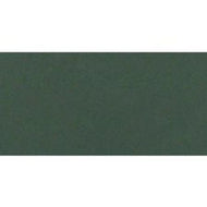 PanPastel Ultra Soft Artist Pastel 9ml-Permanent Green Extra Dark PPSTL-26401