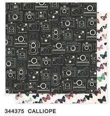 Maggie Holmes Flourish Collection 12x12 Scrapbook Paper Calliope (344375)