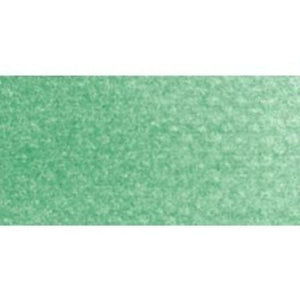 PanPastel Ultra Soft Artist Pastel 9ml-Permanent Green PPSTL-26405