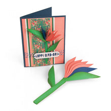 Load image into Gallery viewer, Sizzix Framelits Die Set Bird of Paradise, 2-D &amp; 3-D (662782)
