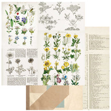 Load image into Gallery viewer, 49 and Market Curators Botanical Collection 12x12 Scrapbook Paper Pressed Petals (CB-35649)
