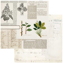 Load image into Gallery viewer, 49 and Market Curators Botanical Collection 12x12 Scrapbook Paper Florilegia (CB-35663)
