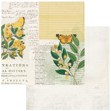 Load image into Gallery viewer, 49 and Market Curators Botanical Collection 12x12 Scrapbook Paper Natural History (CB-35700)
