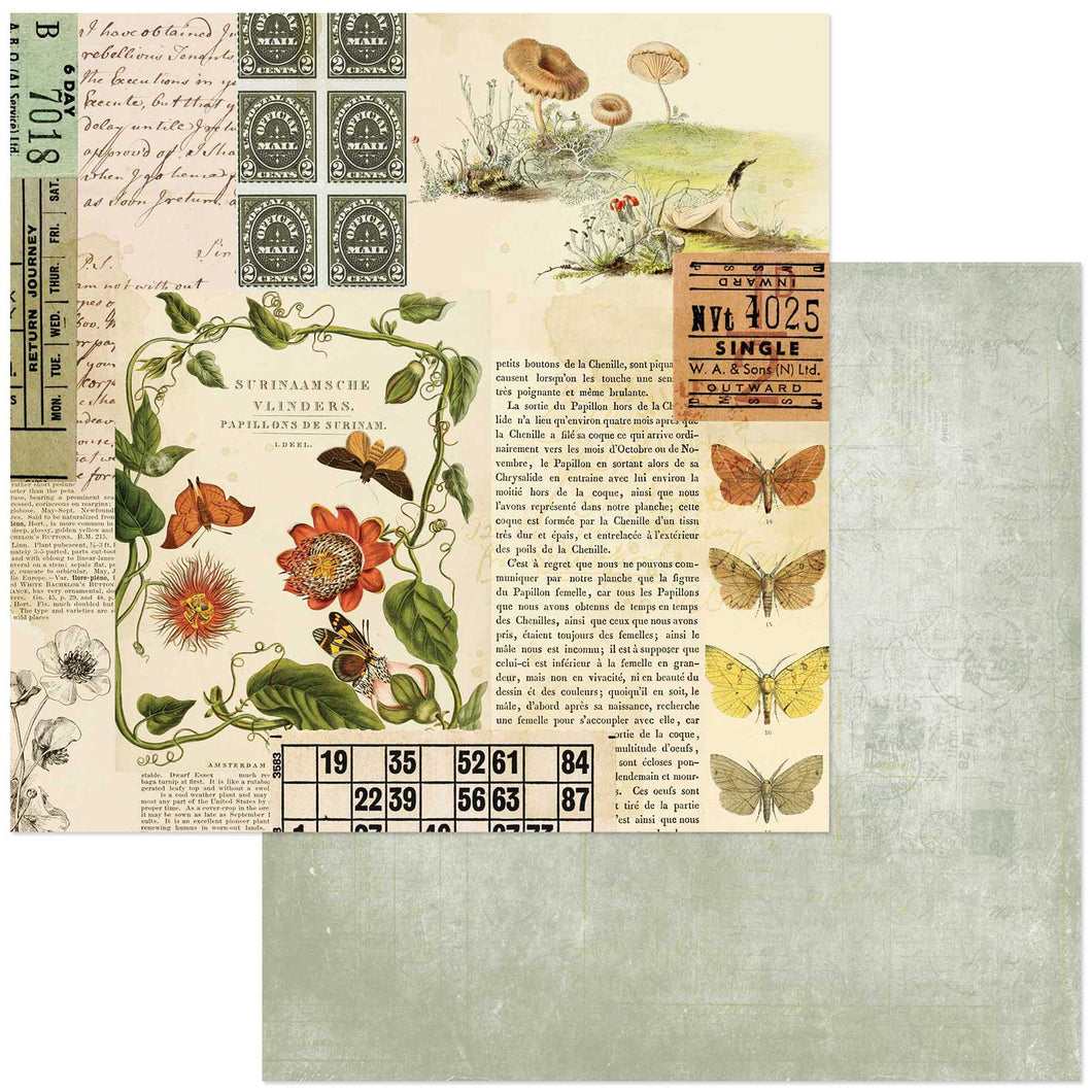 49 and Market Curators Meadow Collection 12x12 Scrapbook Paper Nature's Clipping (CM-37155)