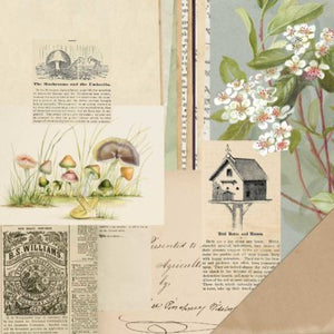 49 and Market Curators Meadow Collection 12x12 Scrapbook Paper Flora (CM-37186)