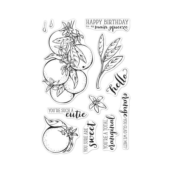 Hero Arts Orange Blossoms Clear Stamps CM414