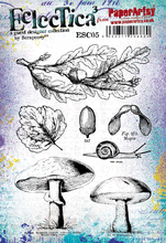 Load image into Gallery viewer, PaperArtsy Stamp Set Acorns &amp; Mushrooms designed by Scrapcosy (ESC05)
