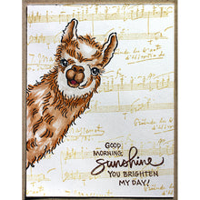 Load image into Gallery viewer, Stampendous Fran&#39;s Cling Rubber Stamps Music Notations (CRP350)
